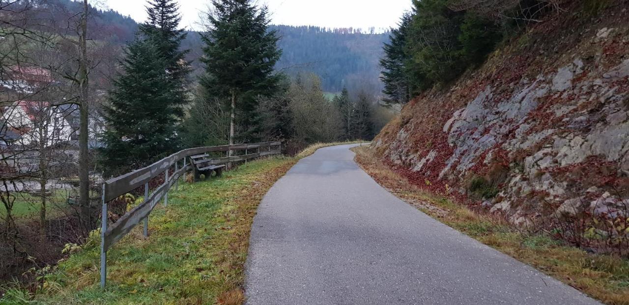Ferienwohnung "Hirschlein" Im Schwarzwald Baiersbronn Exterior foto