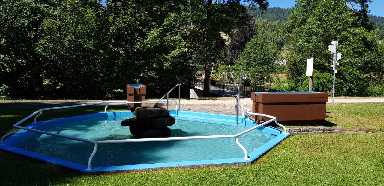 Ferienwohnung "Hirschlein" Im Schwarzwald Baiersbronn Exterior foto